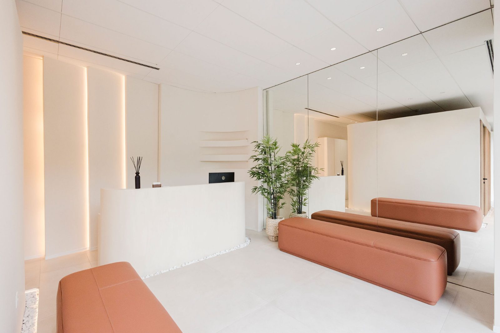 Loup Dental Clinic