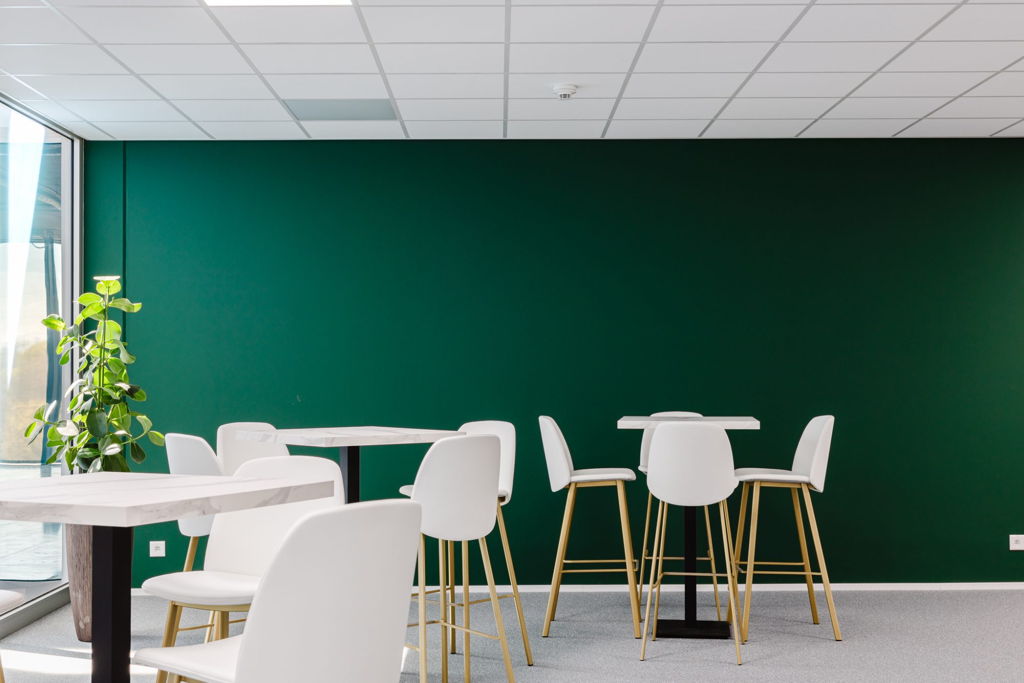 Bureaux, espace pause au mur vert